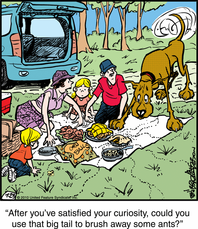 marmaduke